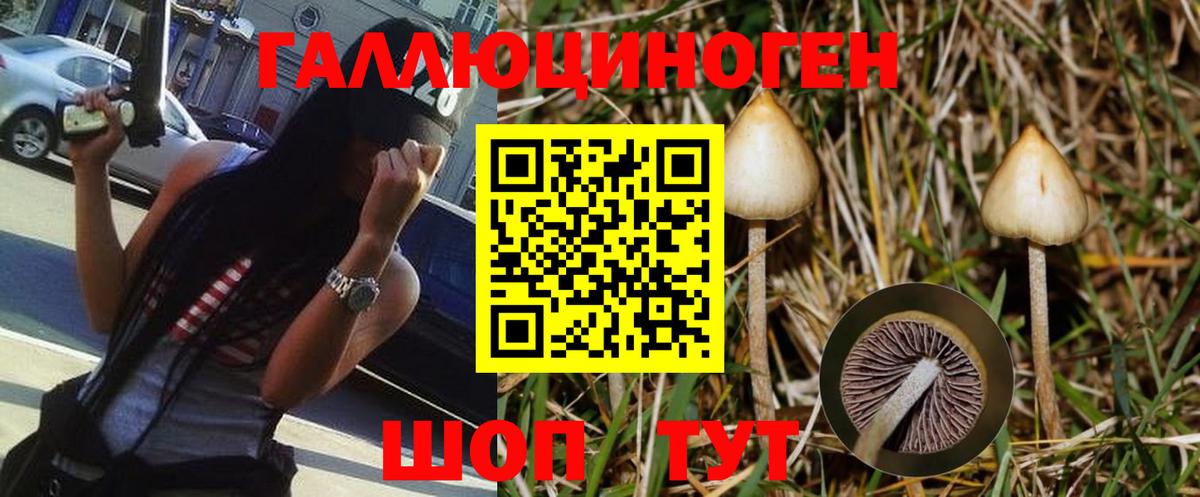 Псилоцибиновые грибы ЛСД Богородицк
